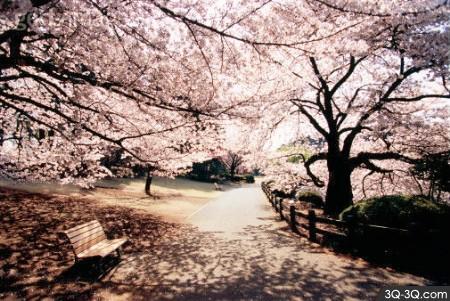 站点福利，感谢！！！-志慧-人生历程