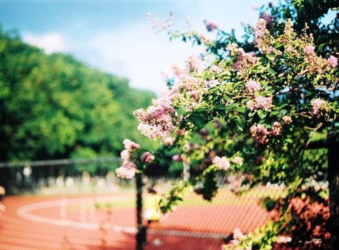 搞了个图集-志慧-人生历程