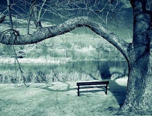 大钢铁年代-志慧-人生历程