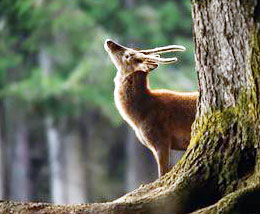 转变-志慧-人生历程