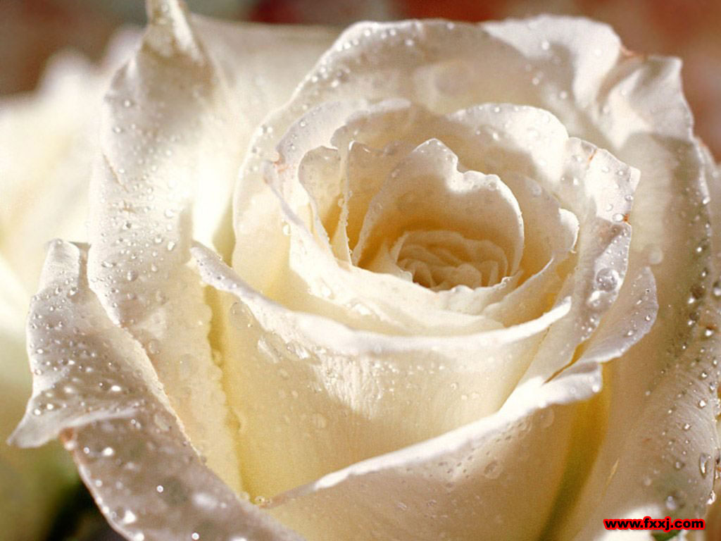 输给追求,也不输给平庸-志慧