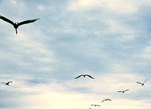 再见，青春！-志慧