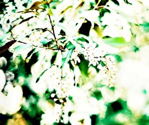 无助,痛心啊!!!-志慧